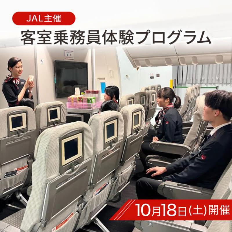 【ふるさと納税】【11月9日開催】JAL 客室乗務員体験プログラム 体験 チケット 体験型プログラム 客室乗務員 日本航空 職業体験 ドリンクサービス 機内アナウンス ビジネスクラス 機内食 大田区 東京都　お届け：2024年10月1日～11月4日までのサムネイル