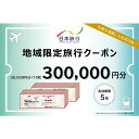 【ふるさと納税】東京都大田区 日本旅行 地域限定旅行クーポン300,000円分 宿泊・体験