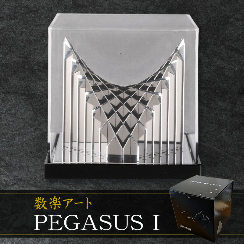 数楽アート PEGASUSI アート オブジェ ステンレス製 金属加工 立体グラフ 多変数関数 2変数関数 熟練 職人 手作業 ステンレス鋼板 光のハーモニー 理 美しさ ユニーク 東京都 大田区
