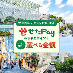 【ふるさと納税】〈選べる金額〉世田谷区 地域限定通貨「せたがやPay」 ふるさとポイント(1pt=1円)900pt〜150,000pt せたぺい デジタル地域通貨 電子決済 キャッシュレス 飲食 宿泊 体験 電子通貨 東京都 世田谷