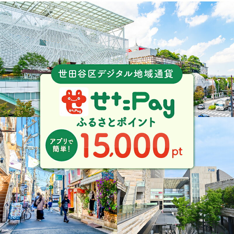 【ふるさと納税】せたがやPay ふるさとポイント15,000pt（1pt＝1円）のサムネイル
