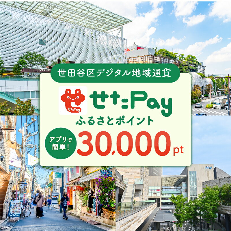 【ふるさと納税】世田谷区 地域限定通貨「せたがやPay」 ふるさとポイント30,000pt（1pt＝1円）3万円分 せたぺい 地域通貨 電子決済 キャッシュレス 飲食 宿泊 体験 電子通貨 東京都 世田谷