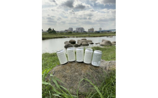 【ふるさと納税】ふたこビール5本セット【世田谷みやげ】 アルコール お酒 ビール 酒 セット クラフトビール ギフト ご褒美 贈り物 プレゼント ご褒美