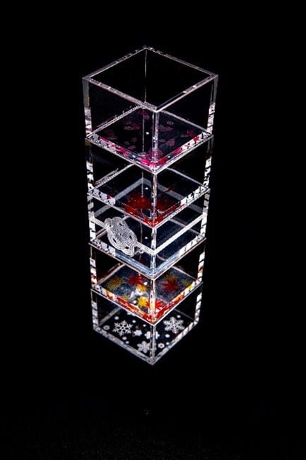 【ふるさと納税】【TOMONARI】アクリル升 mas/mas（マスマス）0.3合枡　5個セット　四季柄【世田谷みやげ】 升 食器 酒器 コップ セット 日用品 工芸品 インテリア アクリル お土産 小物入れ 小物 ギフト プレゼント 贈り物