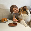 【ふるさと納税】無為自然 一期一会・S(飼い主と愛犬がシェアして食べる米粉シフォンケーキとスペシャルティコーヒー「焙煎豆(中挽き)」セット)【世田谷みやげ】コーヒー ケーキ セット デザート 米粉 グルテンフリー 犬 手作り ギフト プレゼント おやつ ティータイム