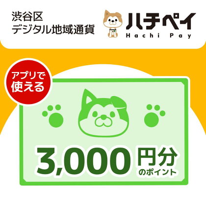 渋谷区デジタル地域通貨「ハチペイ」3,000円分 10000円 1万円 一万円