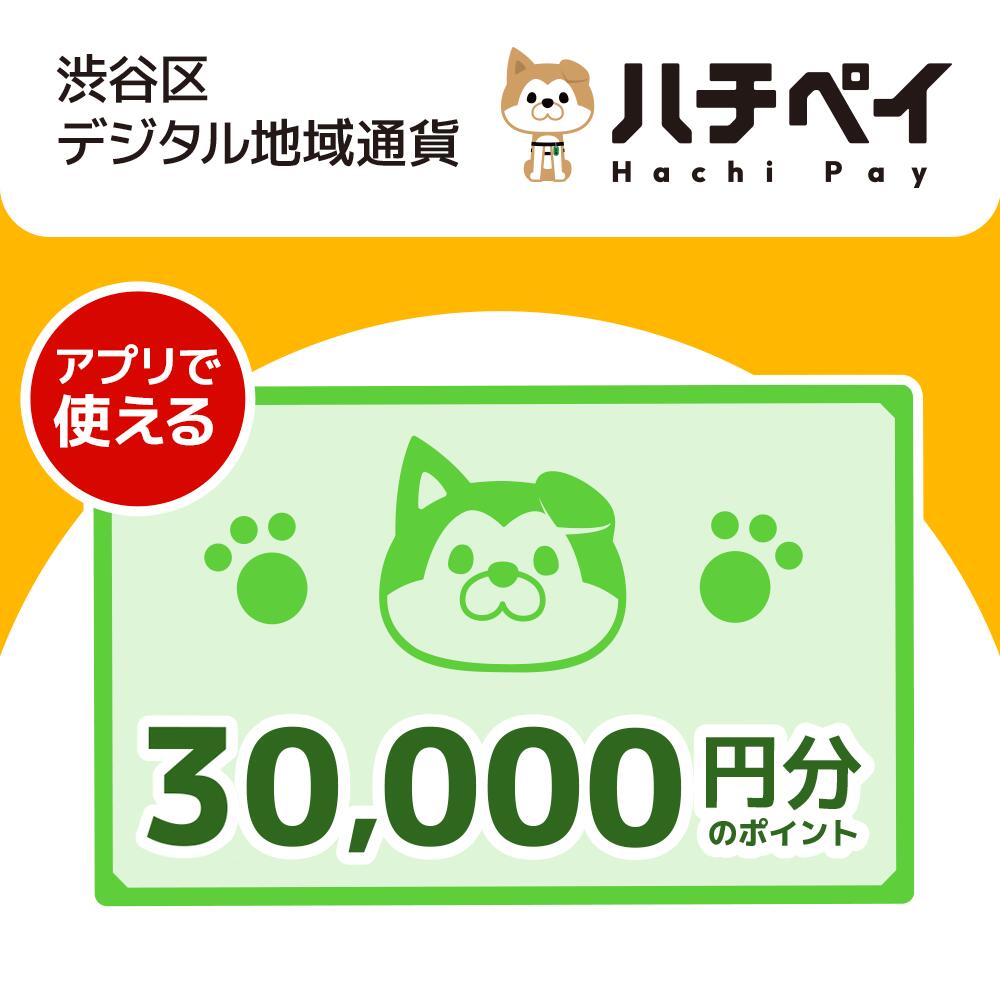 39位! 口コミ数「1件」評価「5」渋谷区デジタル地域通貨「ハチペイ」30,000円分 100000円 10万円 十万円