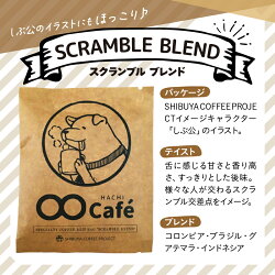 【ふるさと納税】お試しドリップバッグコーヒー1個 SHIBUYA COFFEE PROJECT 【スペシャルティグレード】 1000円 千円 画像1