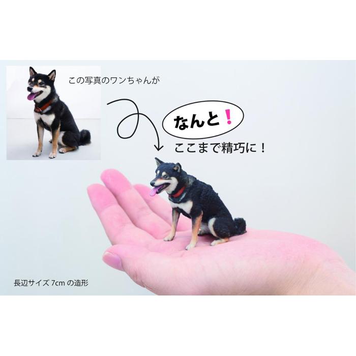 【ふるさと納税】ペットの3Dスキャンと3Dフルカラープリントによる造形（フィギュア）長辺5cm