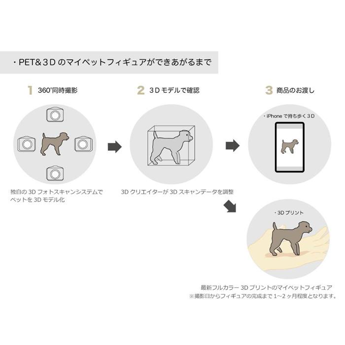 【ふるさと納税】ペットの3Dスキャンと3Dフル...の紹介画像3