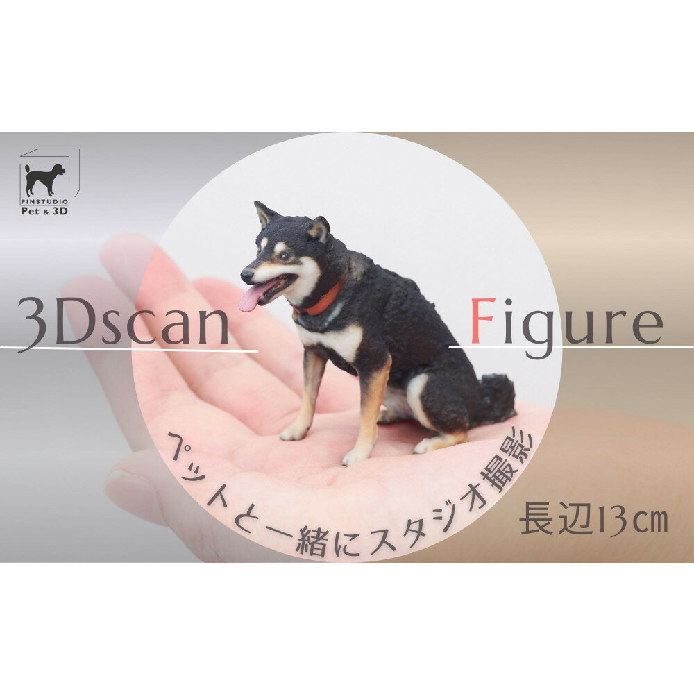 ڤդ뤵ǼǡۥڥåȤ3D3Dե륫顼ץȤˤ¤ʥե奢Ĺ13cm | ڥå 3D  ǭ ǰ ץ쥼 ե ...