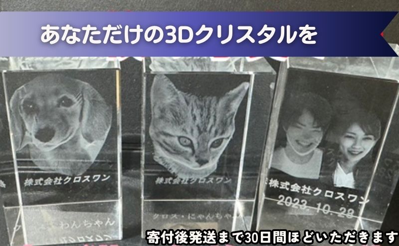 【ふるさと納税】置物 1枚写真で3Dクリスタル 犬・猫・人物の正面写真 3Dクリスタル クリスタル インテリア ペット グッズ 猫 犬 家族 子供 名入れ おしゃれ 猫グッズ 犬グッズ ギフト プレゼント 贈答 贈答品 記念品 お祝い 変わり種 雑貨 東京 東京都 豊島区