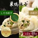 【ふるさと納税】餃子 水餃子 巣鴨餃子 水餃子としそ水餃子の組み合わせ 各2袋 48個 清緑園 ぎょうざ ギョウザ セット もちもち しそ あっさり 冷凍餃子 ...