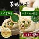 【ふるさと納税】餃子 水餃子 巣鴨餃子 パクチー水餃子としそ水餃子の組み合わせ 各2袋 48個 清緑園 ぎょうざ ギョウザ セット しそ パクチー 冷凍餃子 国...