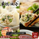 【ふるさと納税】巣鴨餃子 水餃子とパクチー焼餃子 の組み合わせ 各2袋 48個 餃子 ぎょうざ ギョーザ セット 食べ比べ 冷凍 鍋 スープ おかず おつまみ お取り寄せ 豊島区 東京都