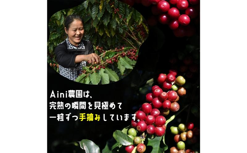 【ふるさと納税】【500g×3袋】雲南コーヒー 焙煎度 3種 飲み比べ ＆ オリジナルブレンド作成キット コーヒー コーヒー豆 豆 珈琲 飲み物 飲料 飲み比べ 東京 豊島区