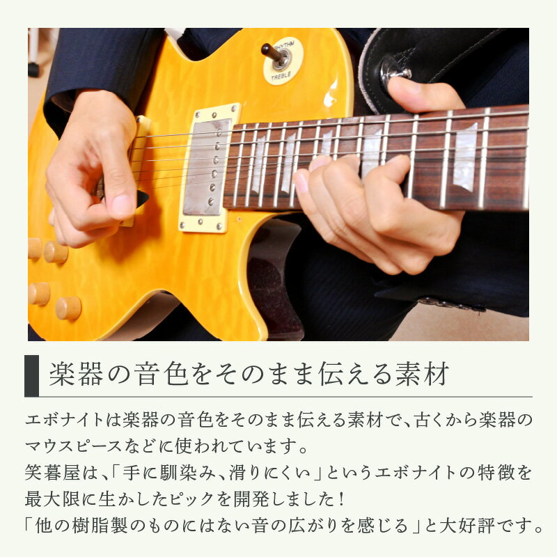 【ふるさと納税】笑暮屋 エボナイト製ギターピック『シーラカンス』0.6mm-1mmセット（三角型）