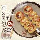 【ふるさと納税】羽二重団子（急速冷凍品）焼き団子12本