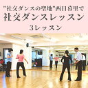 【ふるさと納税】【社交ダンスの聖地】西日暮里で社交ダンスレッスン（3レッスン分）