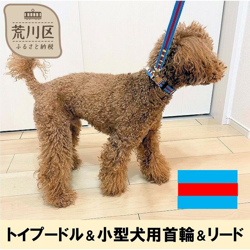 トイプードル及び小型犬用カラー(首輪)&リード(カラー:水色・赤・水色)[001-005]