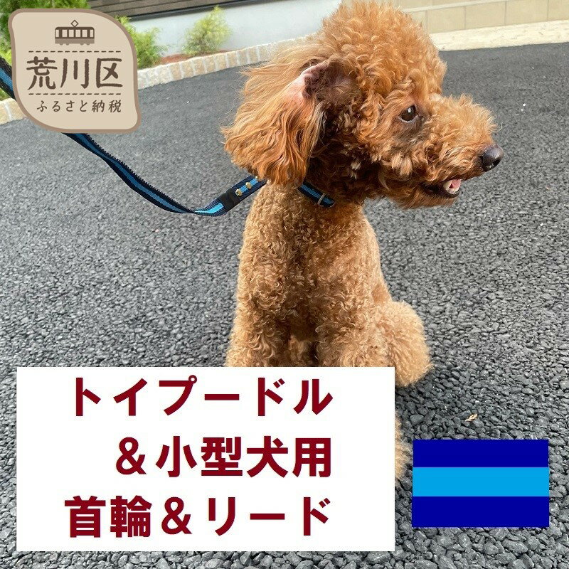 トイプードル及び小型犬用カラー(首輪)&リード(カラー:紺・水色・紺)[001-006]