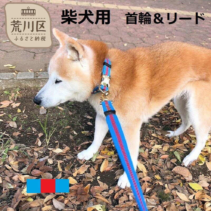 柴犬用カラー(首輪)&リード(カラー:水色・赤・水色)[001-008]