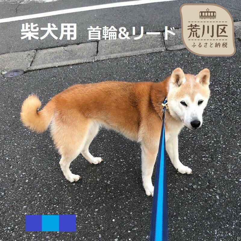 柴犬用カラー(首輪)&リード(カラー:紺・水色・紺)[001-009]