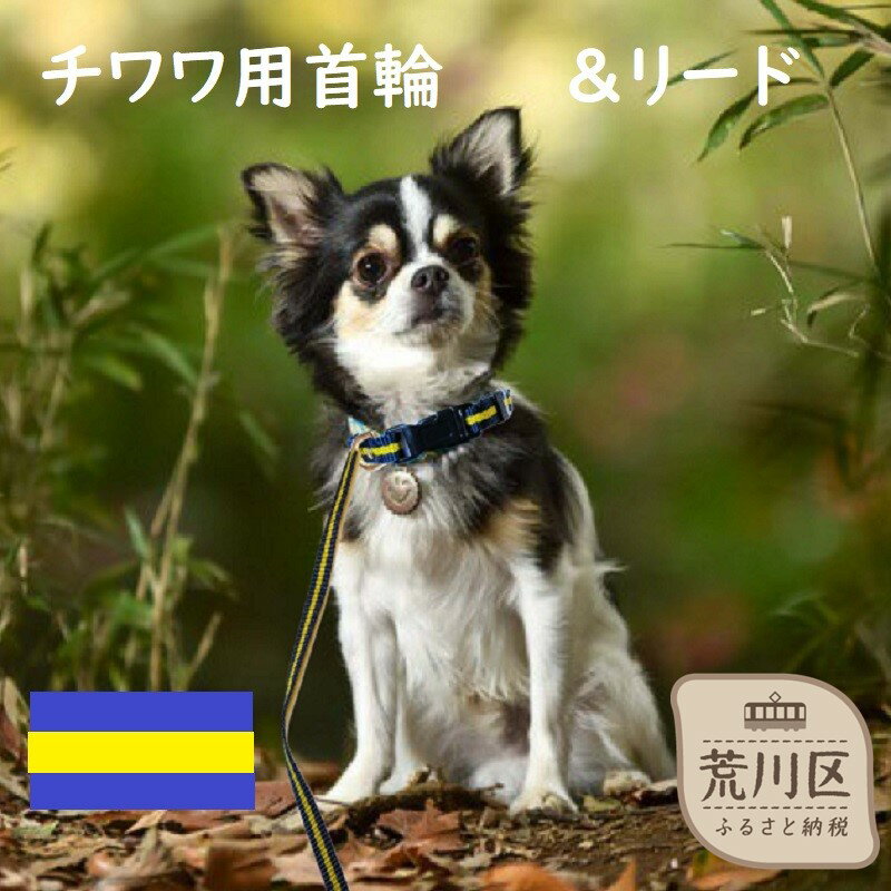 ڤդ뤵Ǽǡۥѥ顼ʼءˡ꡼(顼)001-014