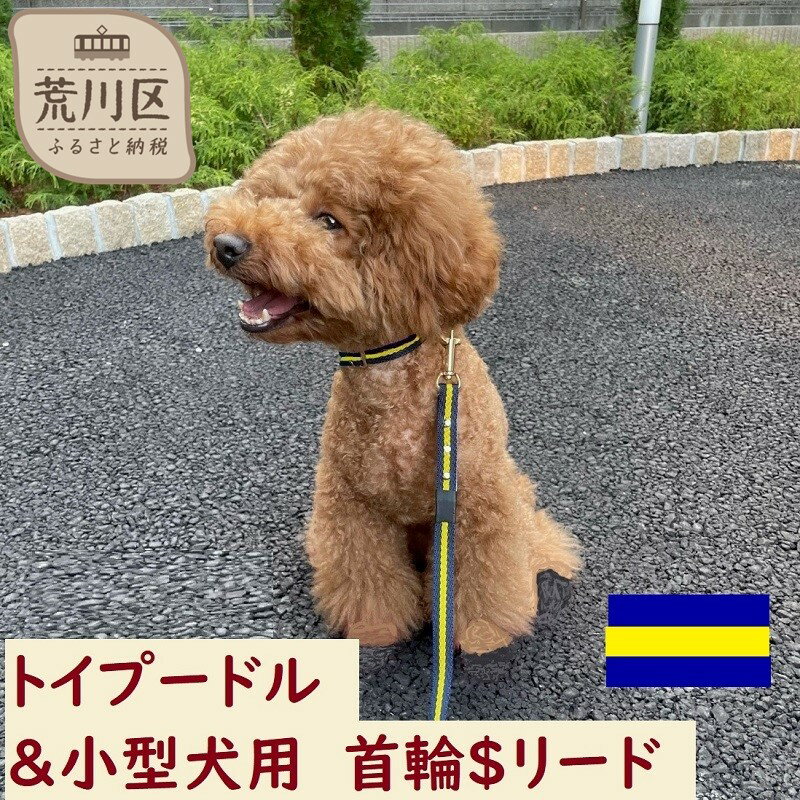 トイプードル及び小型犬用カラー(首輪)&リード(カラー:紺・黄・紺)[001-015]