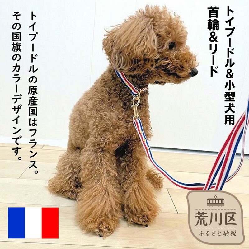 【ふるさと納税】トイプードル及び小型犬用カラー（首輪）＆リード(カラー：青・白・赤)【001-017】