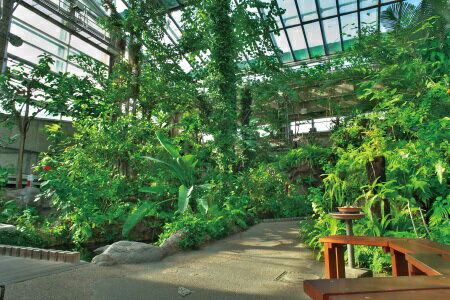 【ふるさと納税】[生物園] 生物園をひとり占め...の紹介画像3