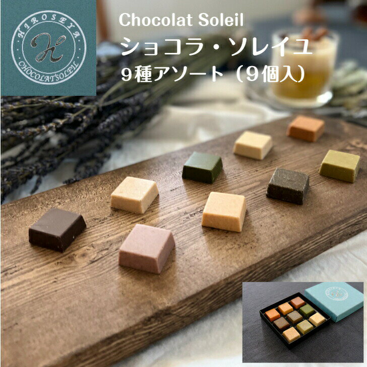 【ふるさと納税】ショコラソレイユ 9種 厳選チョコレート [0513]