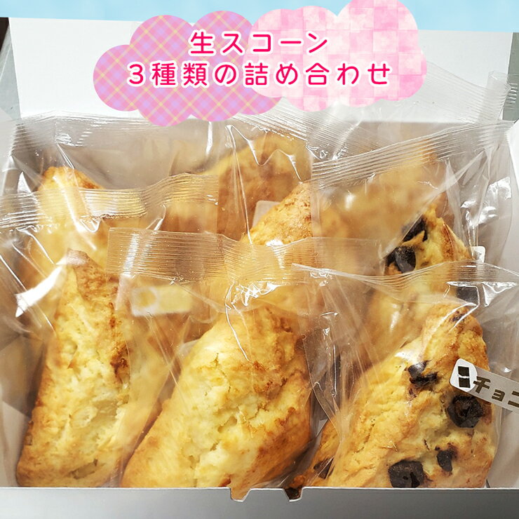【ふるさと納税】生スコーン 3種類の詰め合わせ すずらんベーカリー スイーツ 焼き菓子 手作り お菓子 おやつ ギフト [0567]のサムネイル