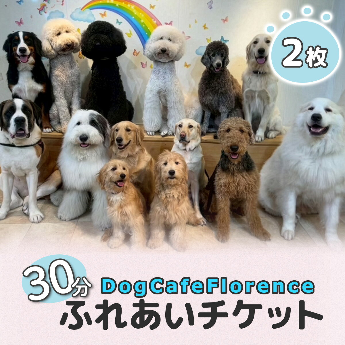 DogCafeFlorence 30分ふれあいチケット 2枚|ドッグカフェ 犬カフェ ふれあい チケット 体験型 カフェ体験 ペットカフェ ふれあい 癒し アニマルカフェ デート おでかけ 体験 チケット [1453]
