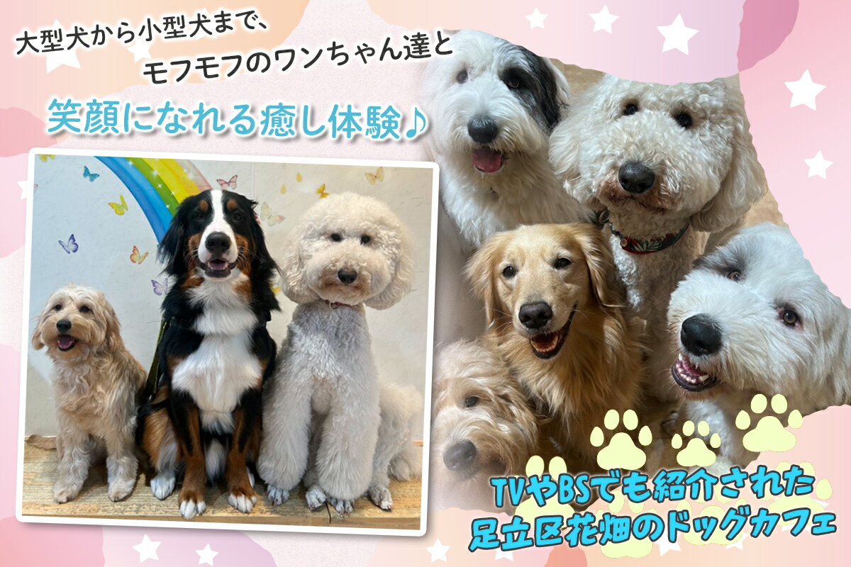 【ふるさと納税】DogCafeFlorence 30分ふれあいチケット 2枚｜ドッグカフェ 犬カフ...