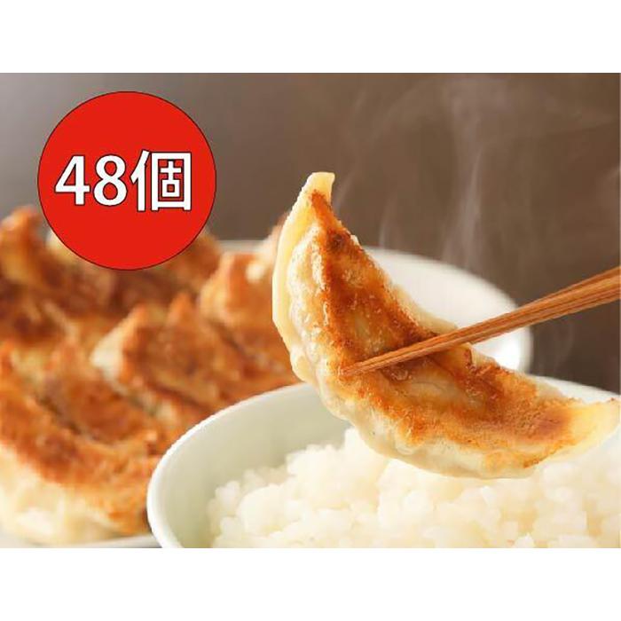 9位! 口コミ数「1件」評価「5」長期熟成にんにくの芳醇な旨味が決め手 肉餃子・野菜餃子詰合せ　48個入り （肉餃子・野菜餃子　各12個入×2パック）