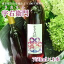21位! 口コミ数「0件」評価「0」立川産ぶどうで作ったワイン 750mlボトル1本
