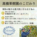 東京都立川市の画像2
