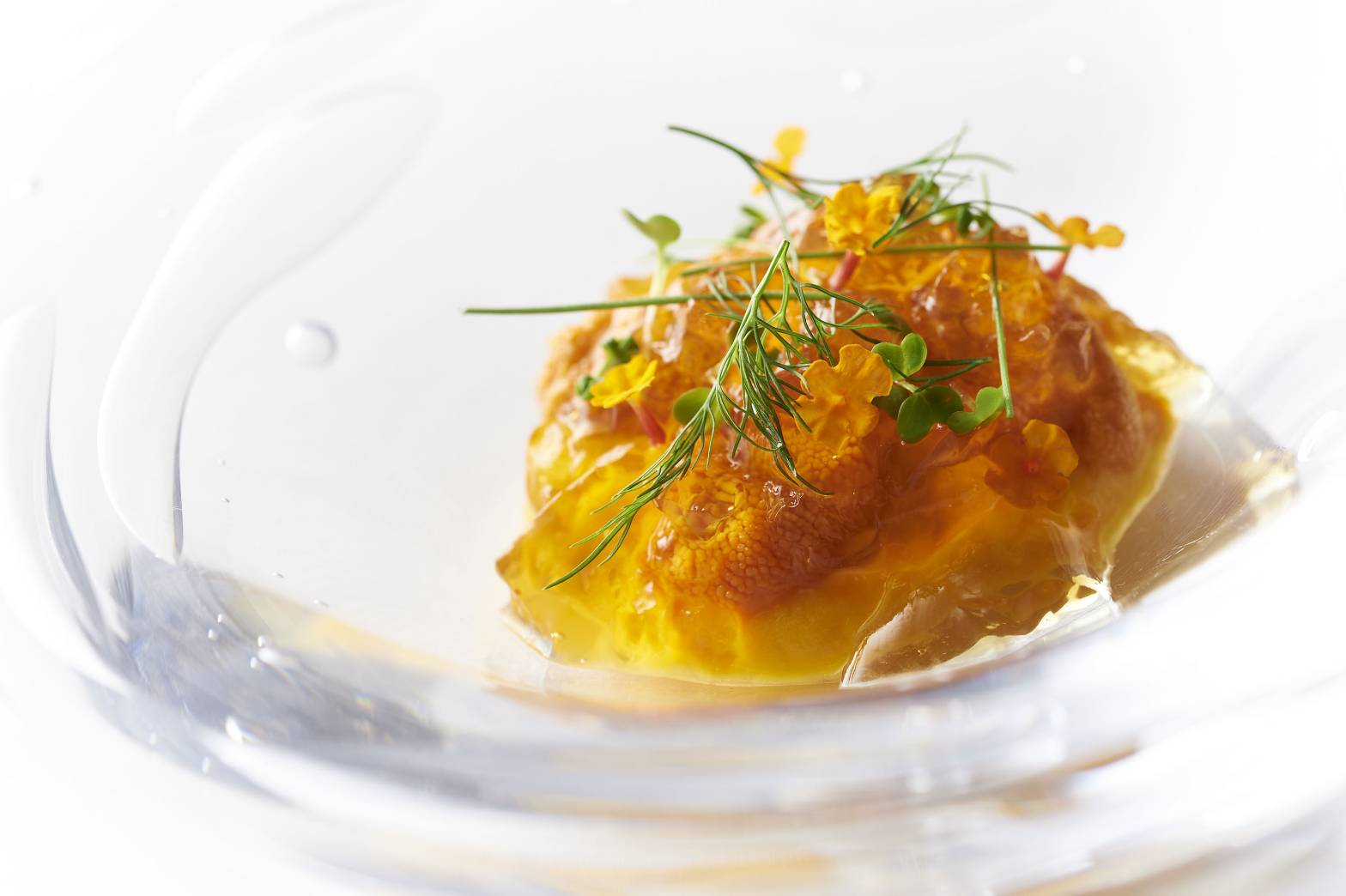 東京都立川市の画像3