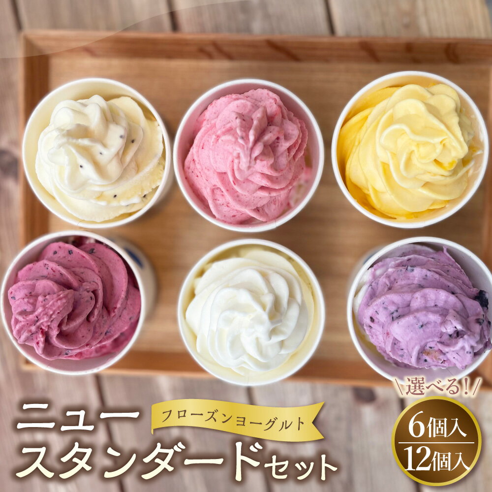 【ふるさと納税】＜選べる内容量＞フローズンヨーグルト ニュースタンダード 120ml 6個／12個 セット ベーシックヨーグルト マスカルポ..