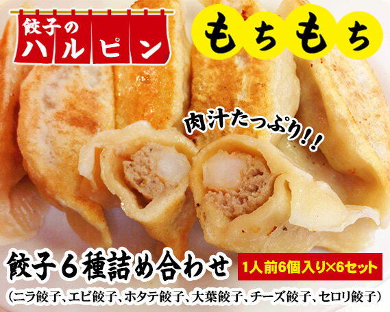 餃子6種詰め合わせ 6人前[餃子のハルピン] / ぎょうざ ギョーザ 計36個 中華 冷凍 送料無料 東京都