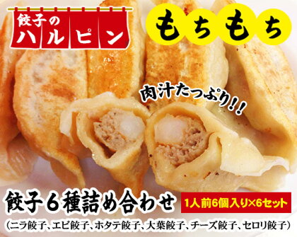 No.060 餃子6種詰め合わせ　6人前＜餃子のハルピン＞ ／ ぎょうざ ギョーザ 計36個 中華 冷凍 送料無料 東京都