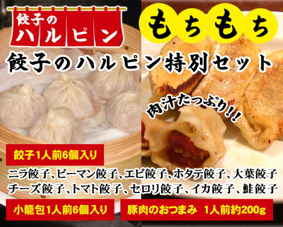 No.102 【餃子のハルピン特別セット】餃子10種、小籠包、豚肉のおつまみ　12人前 ／ ぎょうざ ギョーザ 中華 冷凍 詰め合わせ 送料無料 東京都