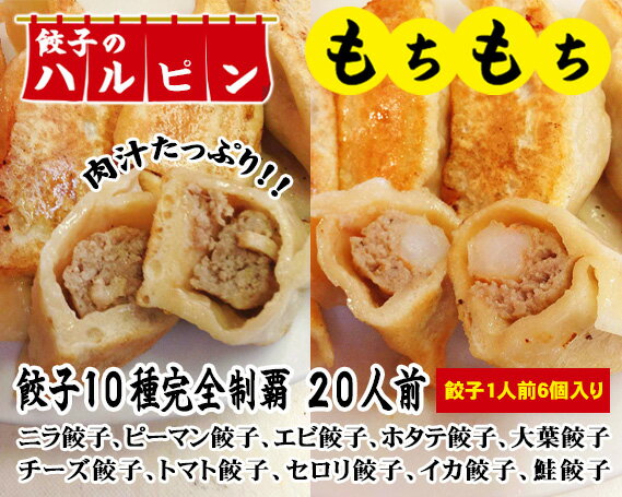 【ふるさと納税】No.108 餃子10種完全制覇 20人前＜餃子のハルピン＞ ／ ぎょうざ ギョーザ 10種詰め合わせ 計120個 中華 冷凍 送料無料 東京都