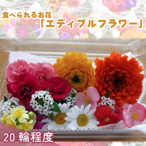食べられるお花「エディブルフラワー」 / 花 食用 観賞用 華やか 旬 詰め合わせ 送料無料 東京都