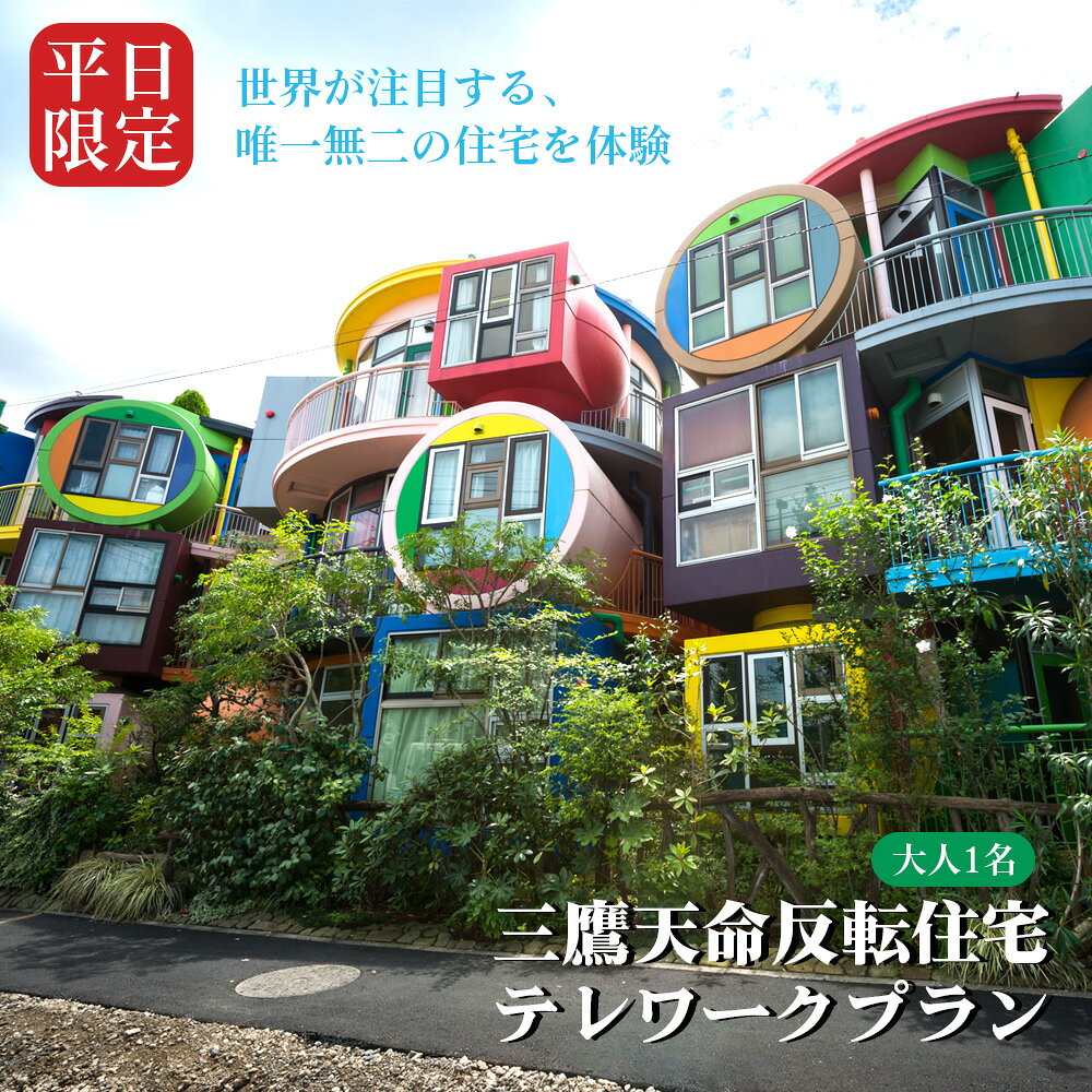[平日限定]三鷹天命反転住宅テレワークプラン(大人1名様分) / 三鷹天命反転住宅 テレワーク 平日限定 ミーティング ワークスタイル デコボコの床 球の部屋 ミニガイド アイデア ブレスト 最大6名 大人1名 ワークスペース No.309