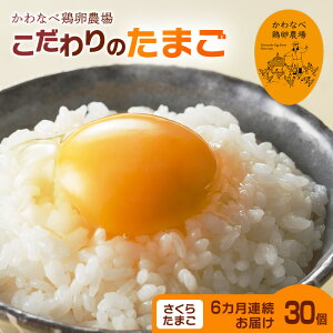 【ふるさと納税】【定期便】かわなべ鶏卵農場のこだわりのたまごさくらたまご30個6ヶ月連続お届け/こだわり 国産 青梅市産 鶏 鳥 卵 たまご タマゴ 玉子 朝食 卵かけご飯 TKG ゆでたまご 卵黄 卵白 健康 アミノ酸 定期便 青梅市