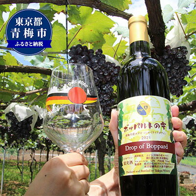 【ふるさと納税】2021年産　ワインセット「ボッパルトの雫」　【 お酒 ブドウ酒 飲み比べ 白ワイン 赤ワイン 晩酌 家飲み 宅飲み 記念日 イベント 青梅市産 リースリング ロメオ 100％ 】　お届け：2022年10月中旬～2023年4月中旬のサムネイル