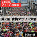 【ふるさと納税】第56回 青梅マラソン大会 30キロの部 出場権利（1名分）（※種目を確認のうえ、お申込みください。）　【 チケット 体験チケット マラソンチケット マラソン出場権 運動 スポーツ 東京都 】　お届け：2023年8月13日〜2023年11月7日