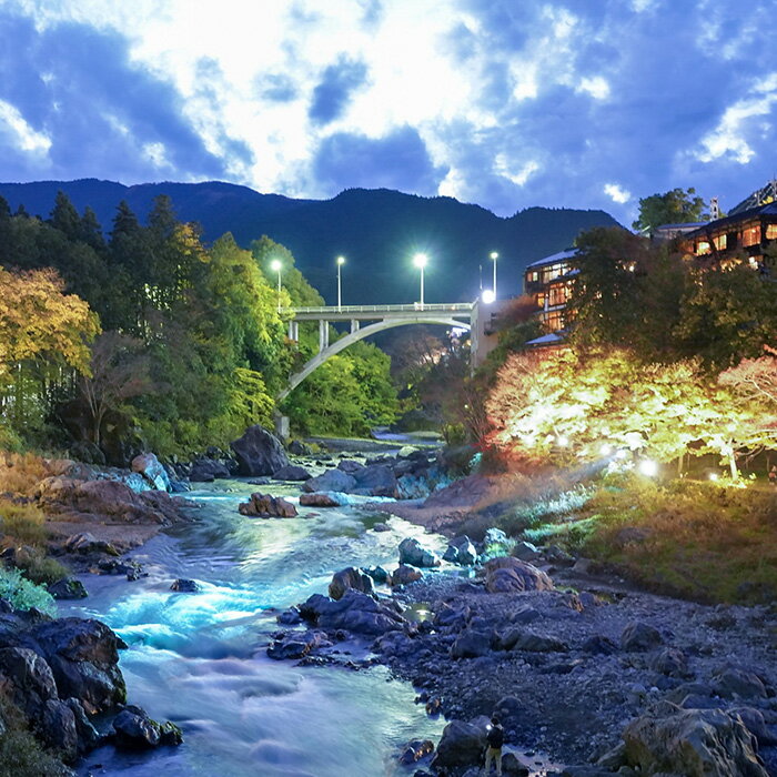 【ふるさと納税】【東京都青梅市】対象施設で使える 楽天トラベルクーポン 寄付額25,000円（7,500円クーポン）　高級宿 宿泊券 旅行 旅行券 楽天トラベル トラベル クーポン ホテル 旅館 東京 青梅